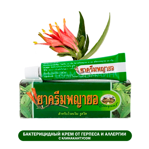 Крем Abhaibhubejhr Payayor Cream при аллергии, герпесе и укусах насекомых с экстрактом Клинакантуса 10 г