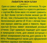 Лаватера Мон Блан СМЦ-526