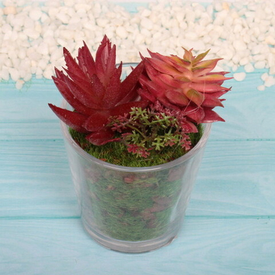 Цветок искусственный «Суккулент» 6*10см в стеклянном горшке ZPY-36