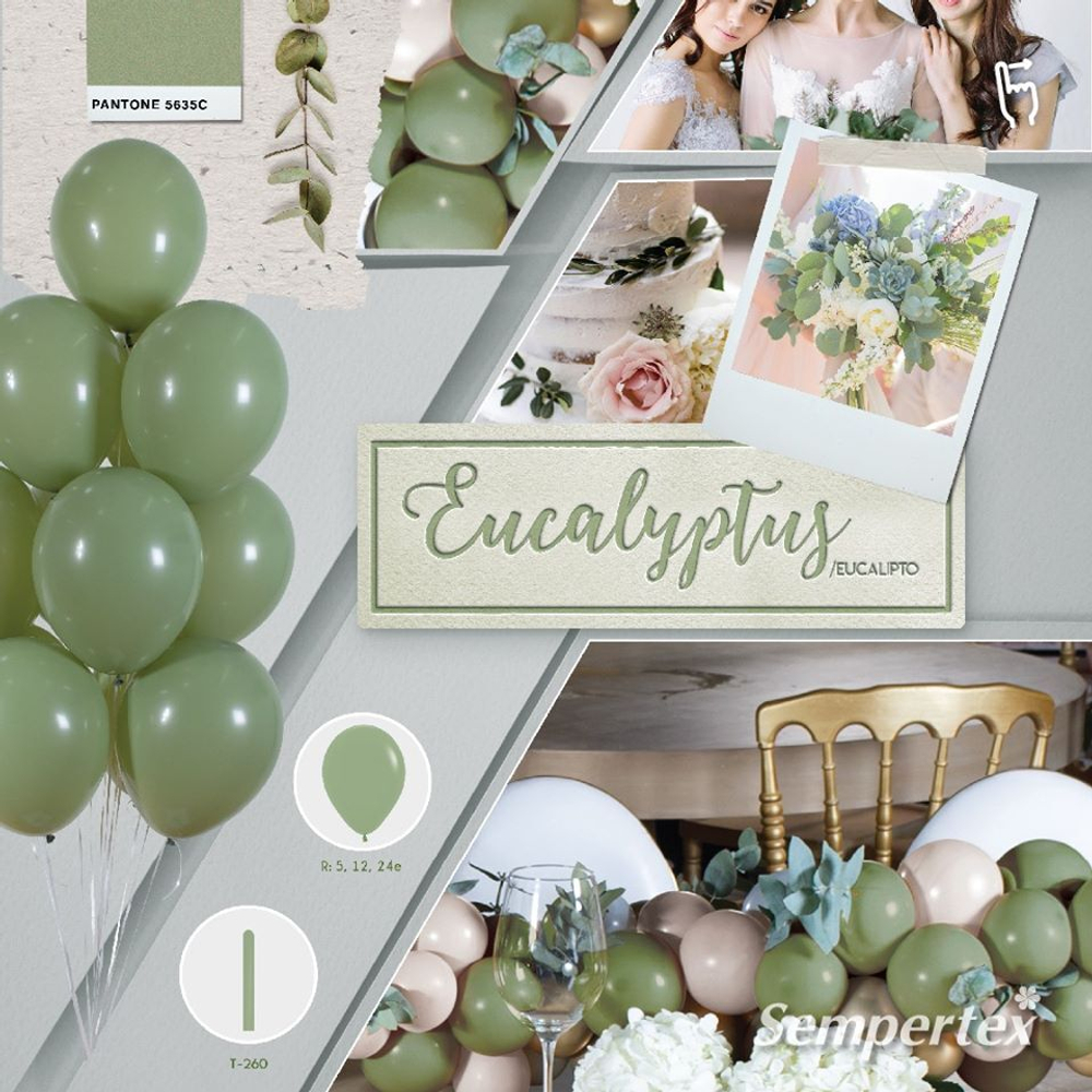 Шар 18" Эвкалипт, Пастель / Eucalyptus 027 Sp