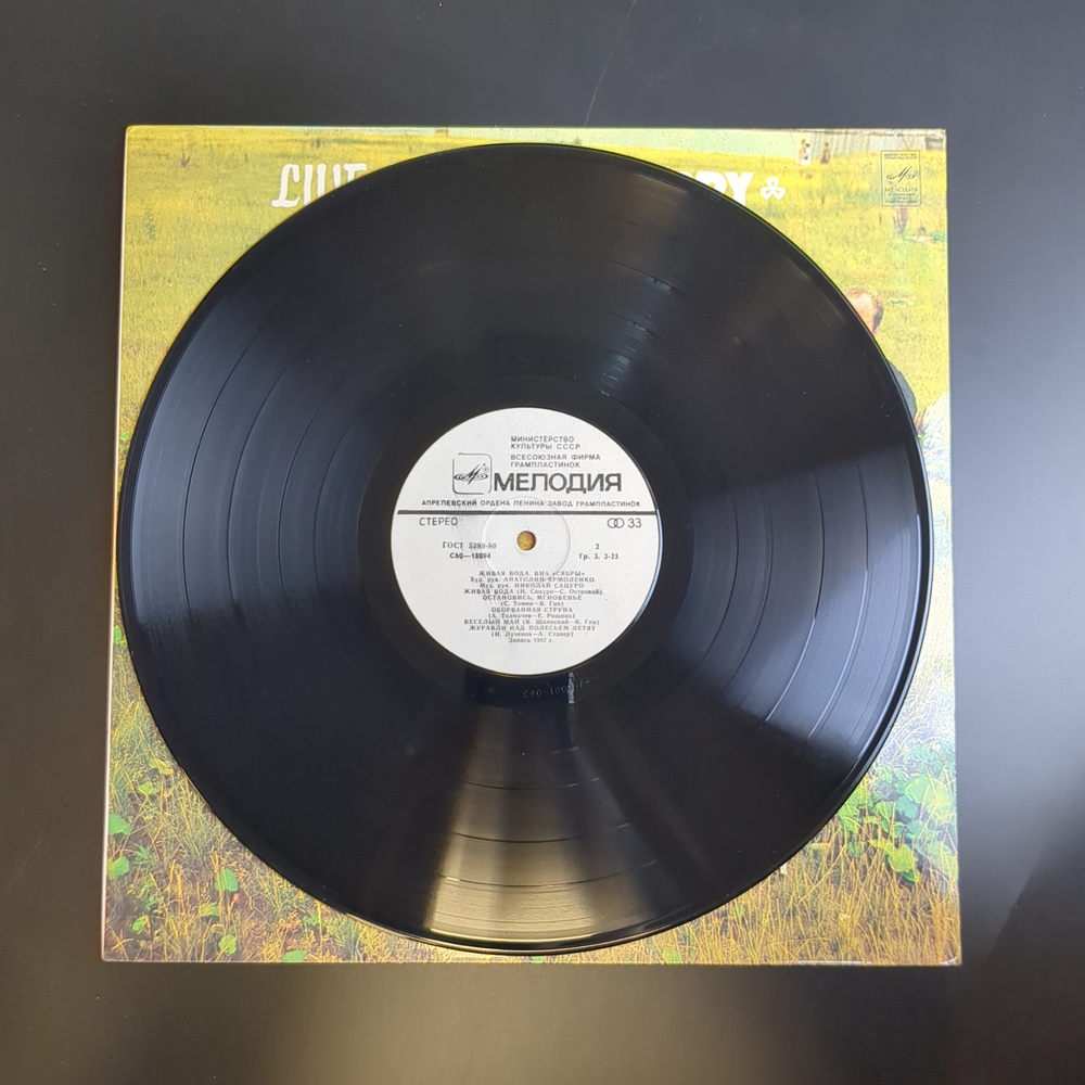 LP Ансамбль Сябры - Живая вода. Виниловая пластинка 12 дюймов. Мелодия СССР 1983 год.