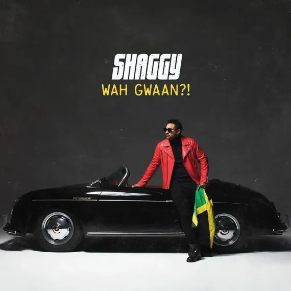 Shaggy ‎– Wah Gwaan?! LP