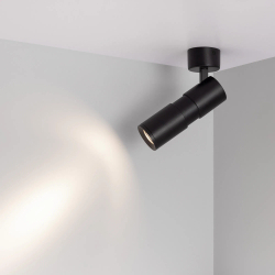 Светильник SP-ARTEMIS-SURFACE-FLAP-R55-12W Day4000 (BK, 8-80 deg, 230V) (Arlight, IP20 Металл, 5 лет) 051794