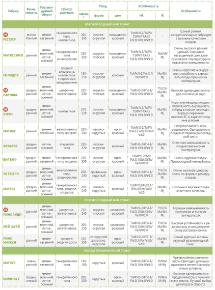 Пинк Айди F1 семена томата индетерминантного (Seminis / Семинис) – фото 4