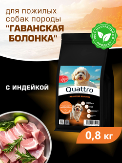 Корм сухой для пожилых собак породы Гаванская болонка старше 7 лет, с индейкой, 800 гр, QUATTRO