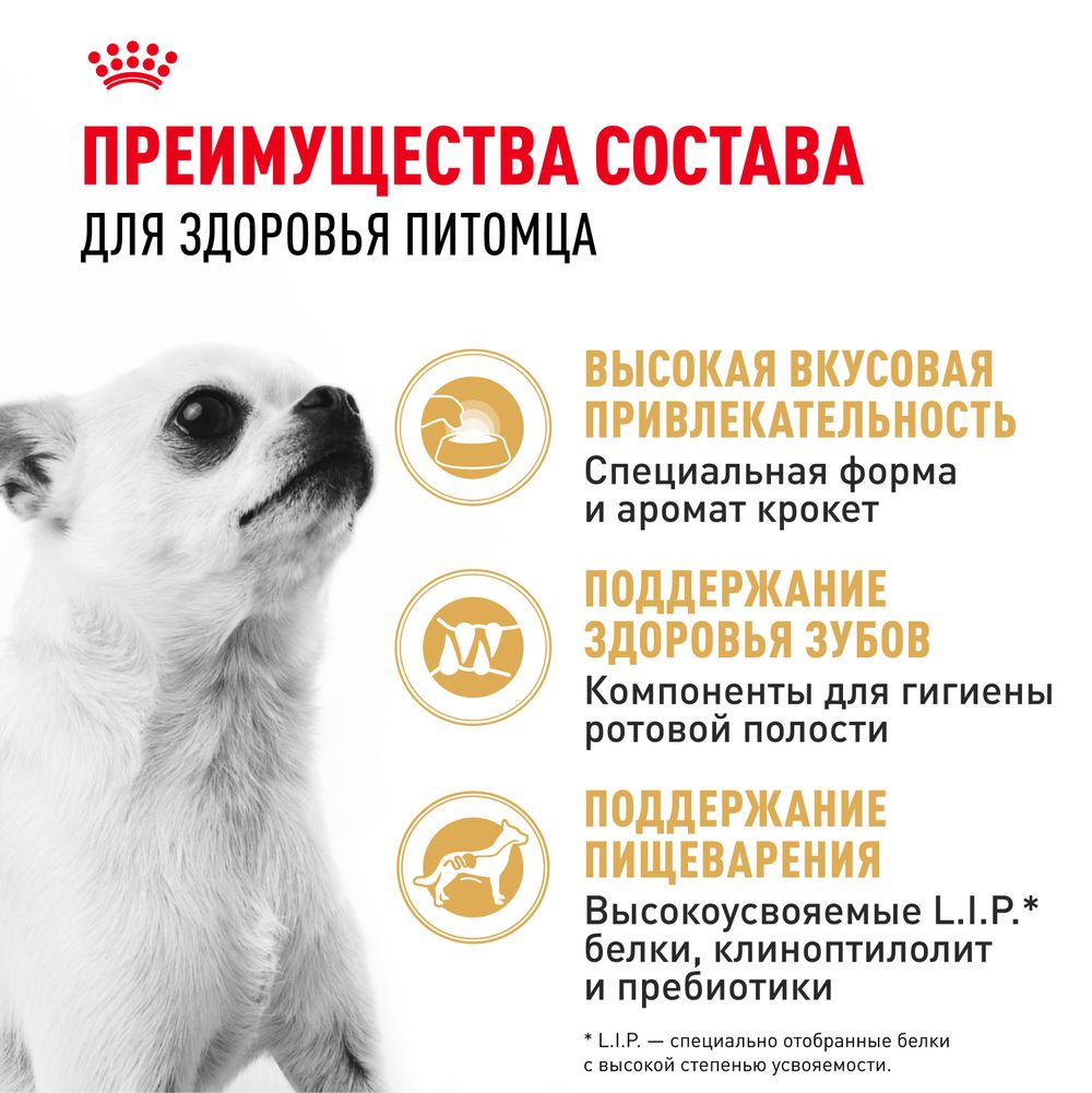 Сухой корм Royal Canin Chihuahua Adult для взрослых собак породы Чихуахуа от 8 месяцев Сухой корм Royal Canin Chihuahua Adult для взрослых собак породы Чихуахуа от 8 месяцев