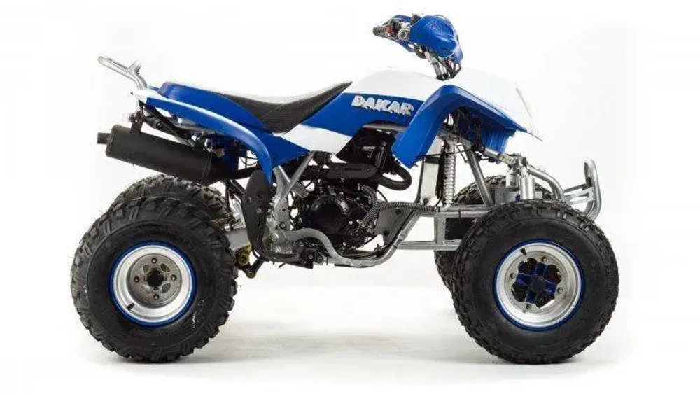 Квадроцикл Motoland 250 DAKAR