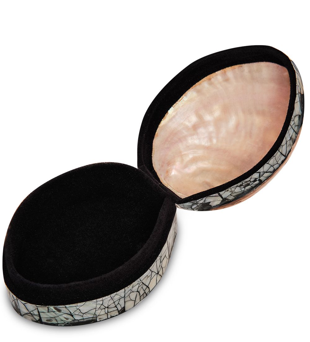 Decor and Gift 54-045-02 Декоративная шкатулка «Ракушка»