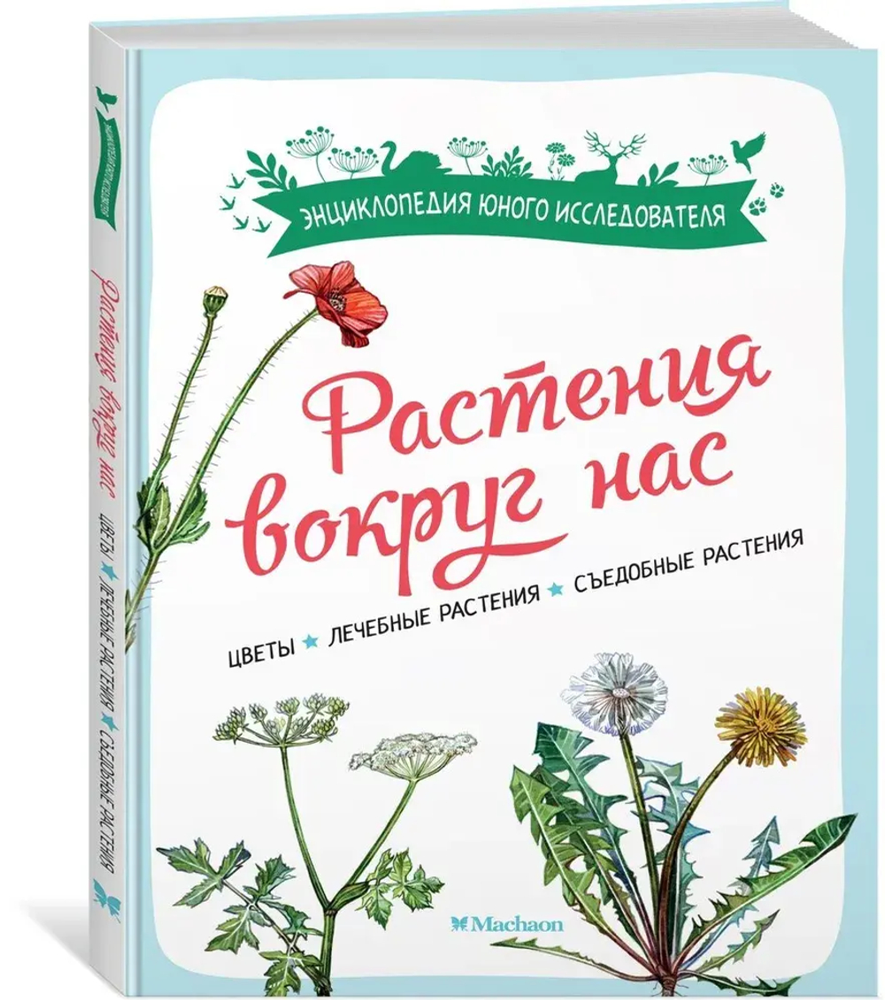 Растения вокруг нас