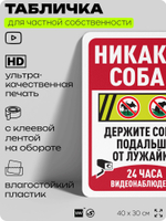 Табличка для частной территории "Никаких собак", на дом, для участка, организаций и частных территорий, предупреждающая, 40х30 см, Silver Plane x Айдентика Технолоджи