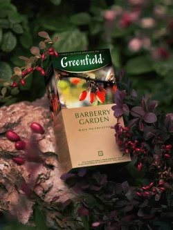 Чай в пакетиках чёрный Greenfield Barberry Garden, 25 шт