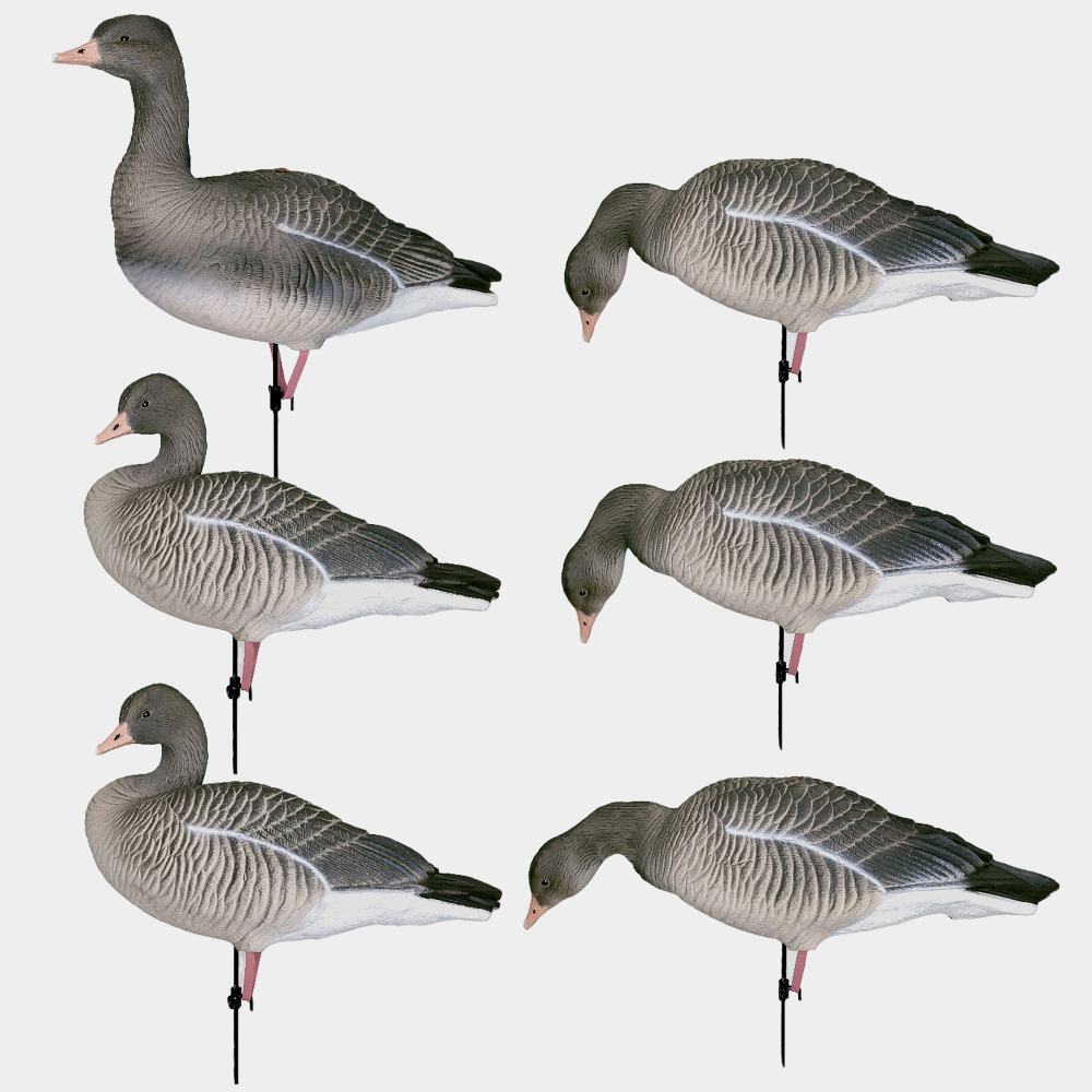 Серый гусь Duck Mania "ALFA"