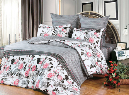 Постельное белье СайлиД B-116 сатин