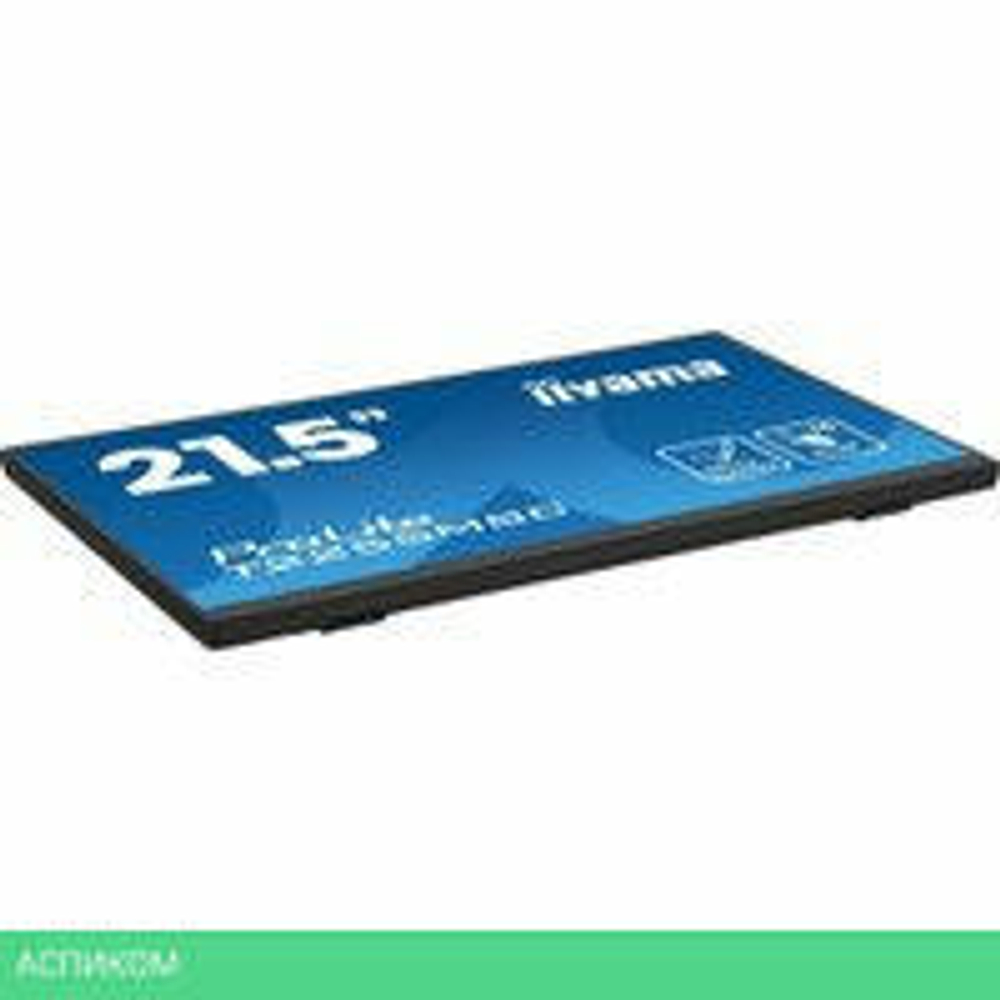 Портативный монитор Iiyama ProLite T2255MSC-B1