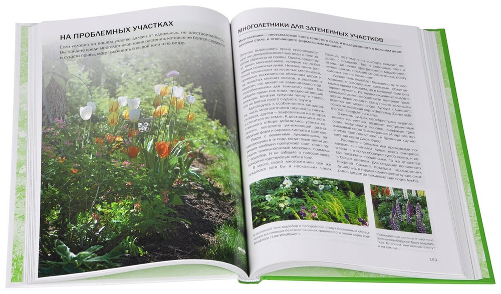 Большая книга цветовода