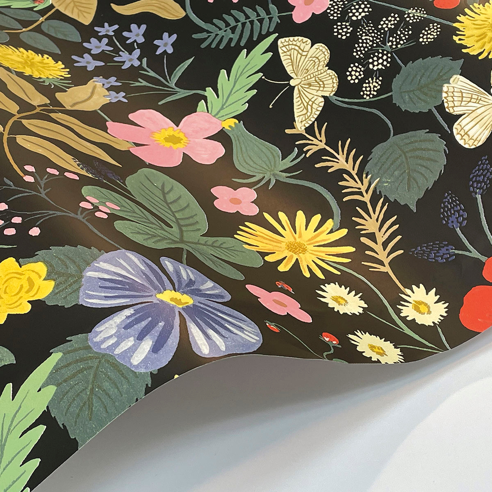 Rifle Paper Co. Second Edition