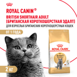 Royal Canin British Shorthair Adult Корм сухой для взрослых британских кошек 2кг
