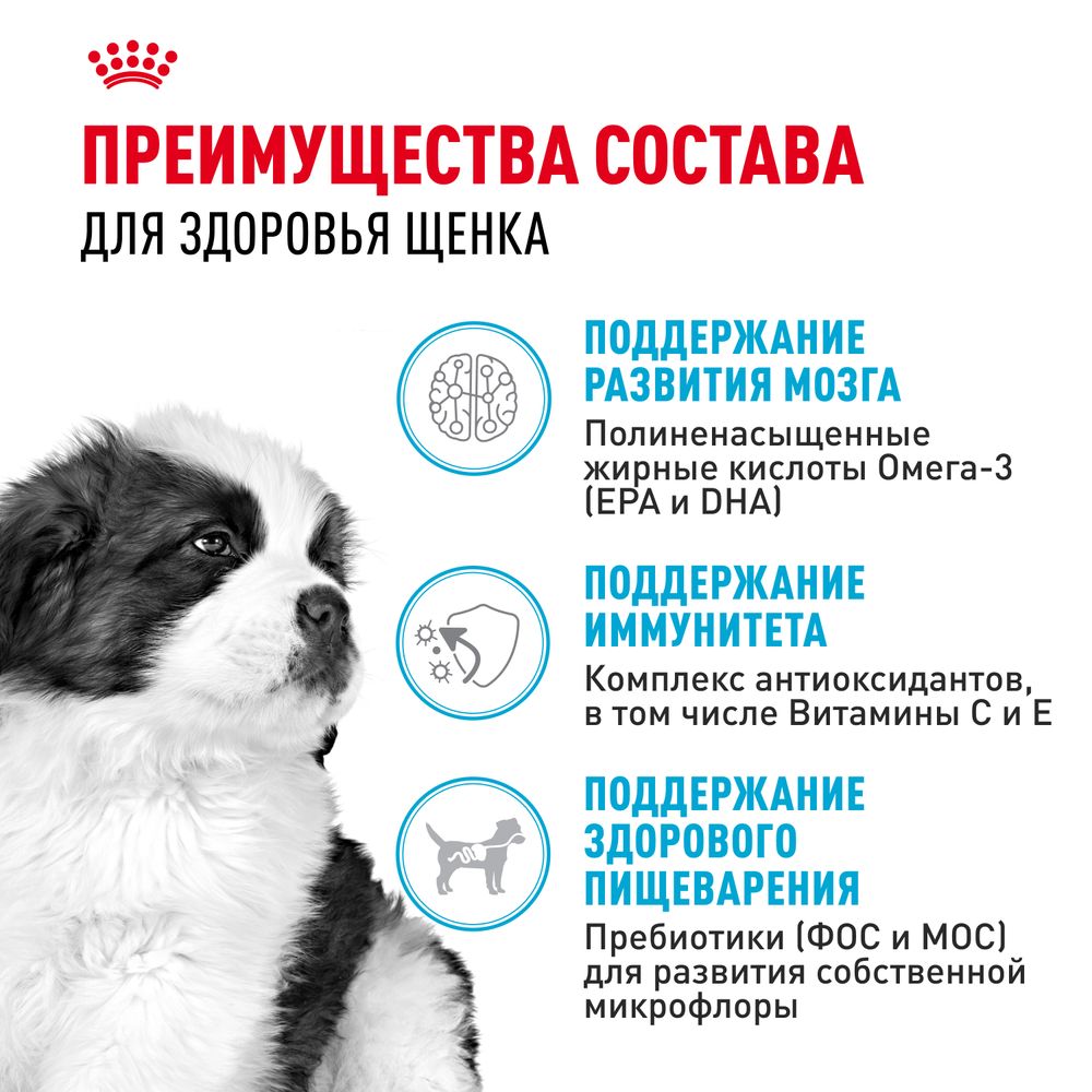 Сухой корм Royal Canin Giant Puppy для щенков очень крупных размеров до 8 месяцев Сухой корм Royal Canin Giant Puppy для щенков очень крупных размеров до 8 месяцев
