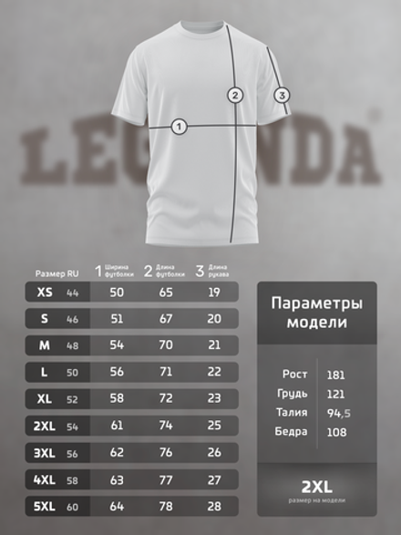 Футболка хлопковая классическая LEGENDA 3D Logo черная