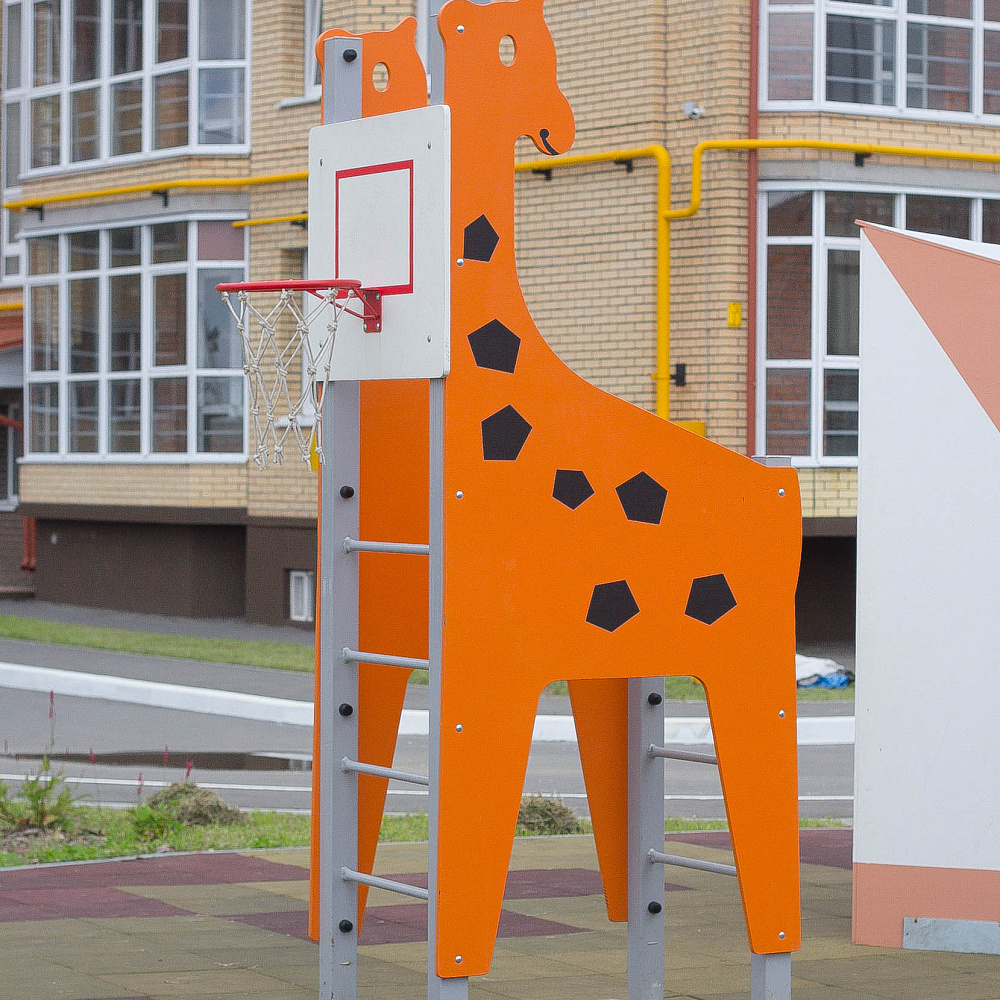 Баскетбольный щит «Жираф» Romana 203.01.00