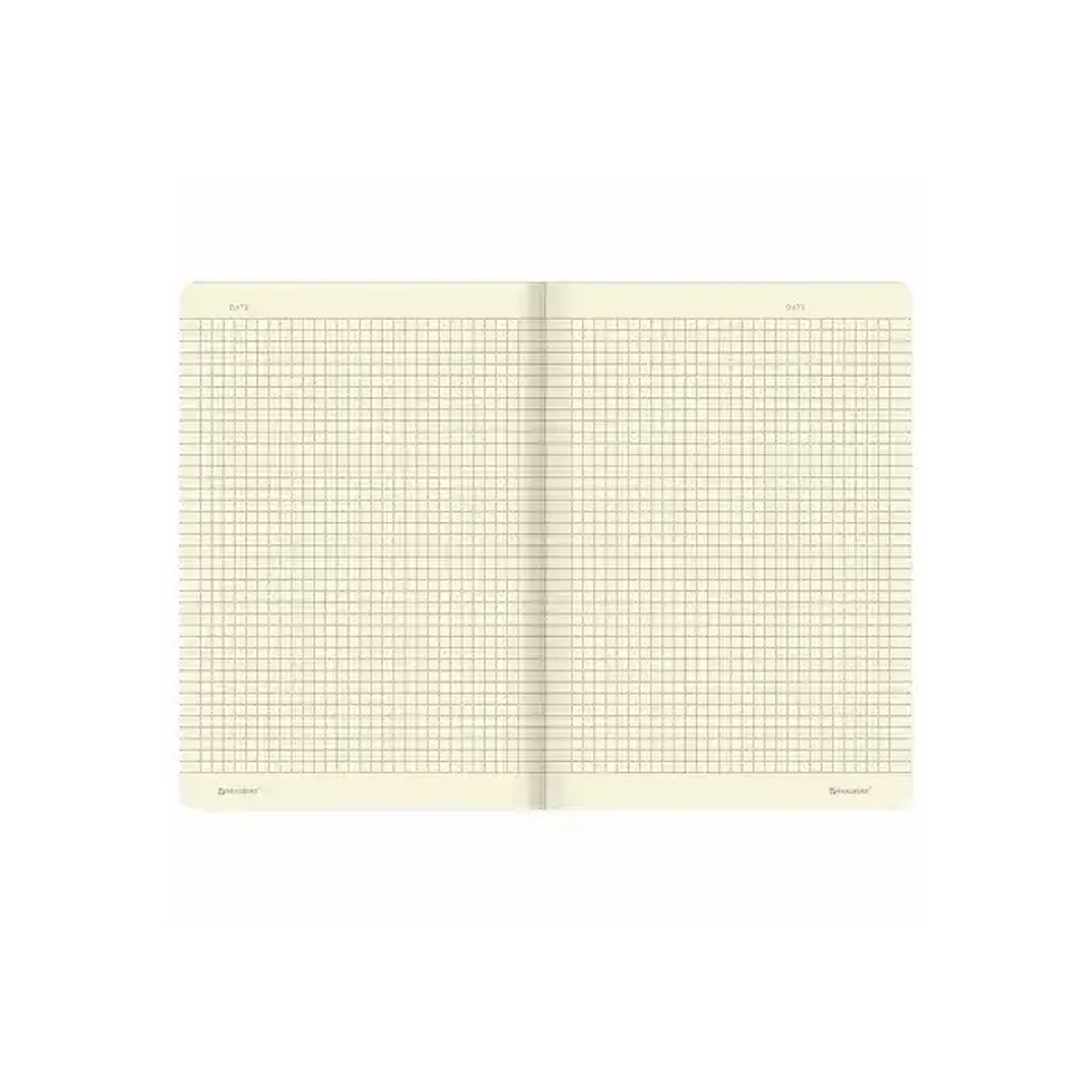 Тетрадь 40 л клетка BRAUBERG обложка SoftTouch, фольга, бежевая бум. 70 г/м2, Тукан 403775