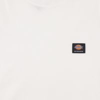  Футболка мужская Dickies Skateboarding Mount Vista Shirt артикул:WSSK6_white - купить в магазине Дайс