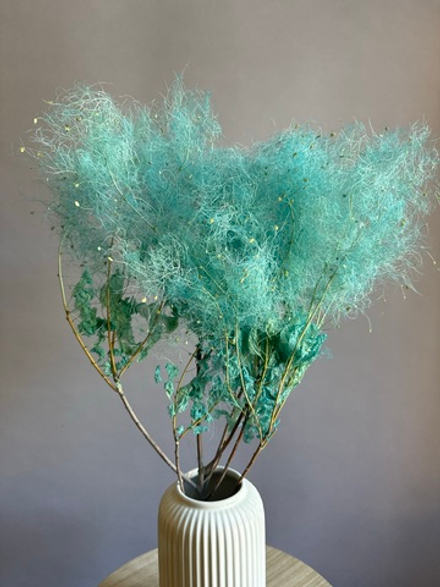 Котинус стабилизированный голубой