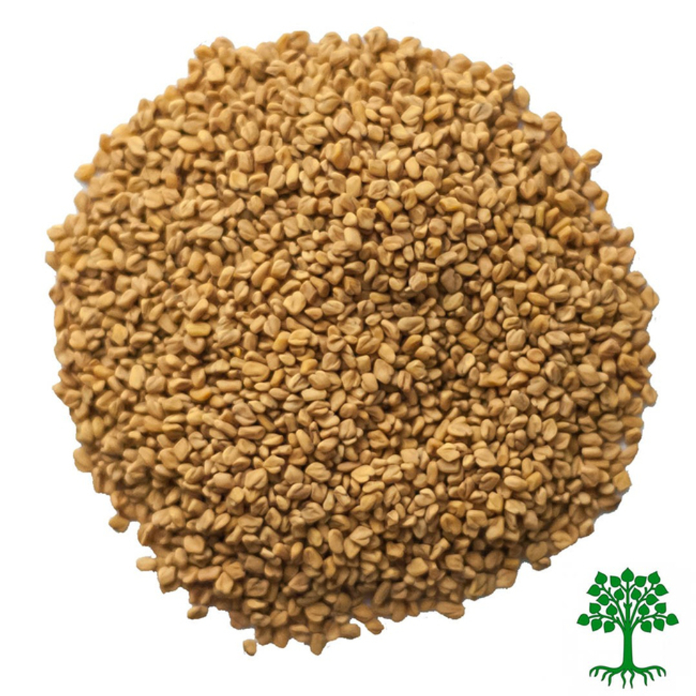 Пажитник (шамбала) семена