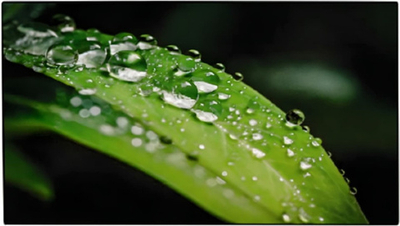 Панель LCD 55' Dahua DHI-LS550UCM-UF