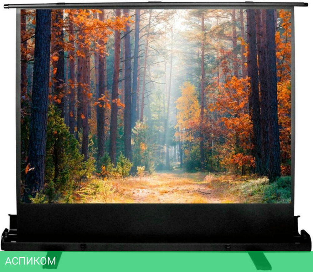 Проекционный экран Cactus FloorExpert (CS-PSFLE-180X135)