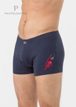 Трусы мужские боксеры Pantelemone PMH-1418, темно-серый