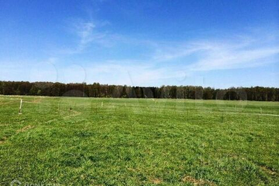 Участок в СНТ Родничок 6 соток 4/1