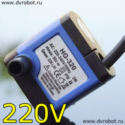 Насос HG320 - 220V