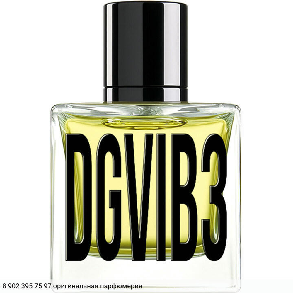 DGVIB3