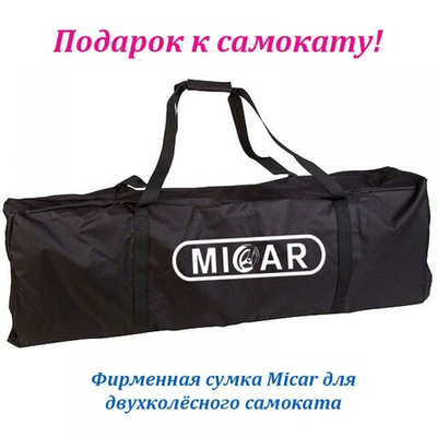 Двухколёсный самокат Micar Balance 200 Чёрный (Арт. D11)