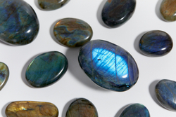 Лабрадор палмстоун S