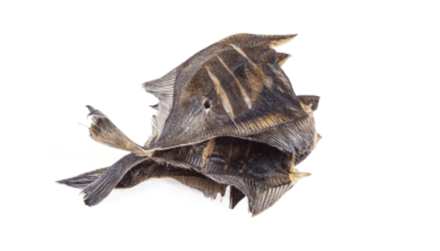 Камбала вяленая (Лепесток)