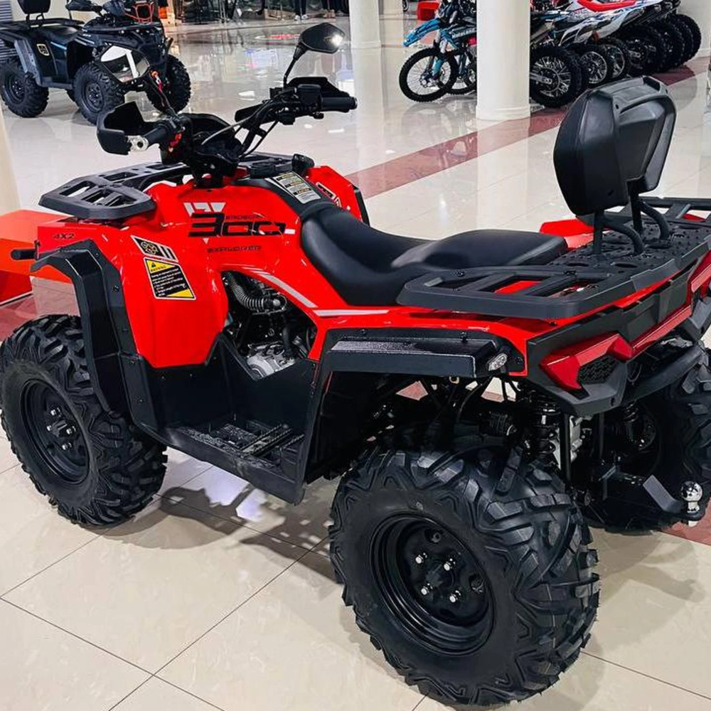 Квадроцикл (комплект для сборки) Explorer 300 4х2 Красный (RR)