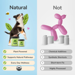Kin+Kind, Superзелень для собак и кошек, для кожи и шерсти, 226,8 г (8 унций)