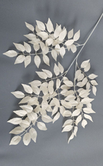 Ветка иглицы / Арт 1241