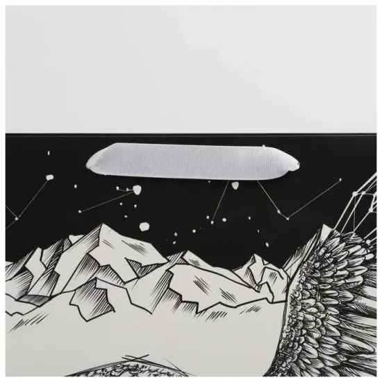 Пакет подарочный ламинированный горизонтальный, упаковка, «Орёл», M 25.5 х 30 х 9 см