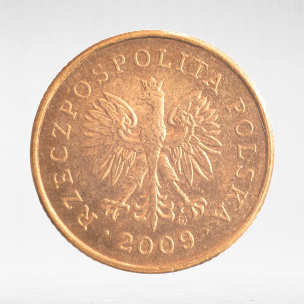Poland, 5 Groszy, 2009, VF