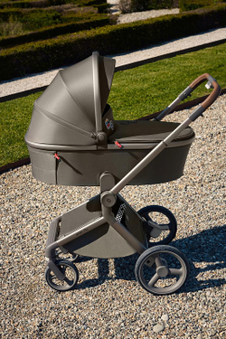 Детская коляска Anex Flo 2 в 1 Cesar