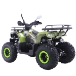 Квадроцикл (комплект для сборки) Yacota WARRIOR 200 PRO зеленый