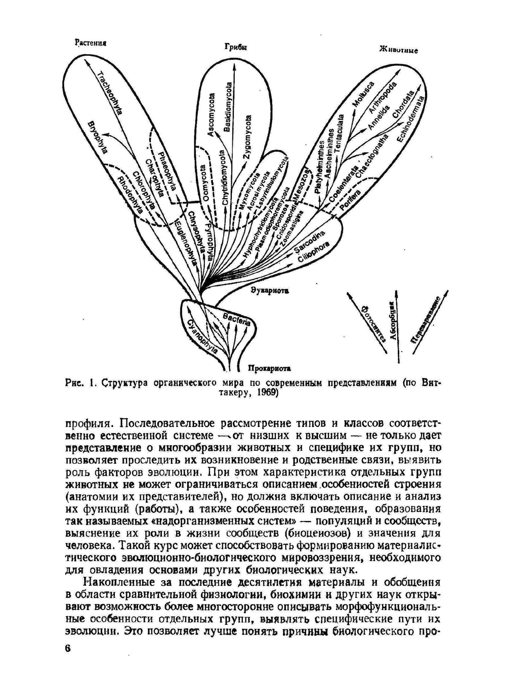 Зоология позвоночных. Часть 1. Низшие хордовые, беcчелюстные, рыбы, земноводные | Н. П. Наумов; Н. Н. Карташев