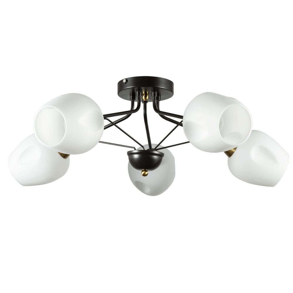 Люстра потолочная Arte Lamp Brighton A2706PL-5CK