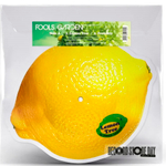 Fools Garden / Lemon Tree (Limited Edition)(Picture Disc)(10" Vinyl EP)