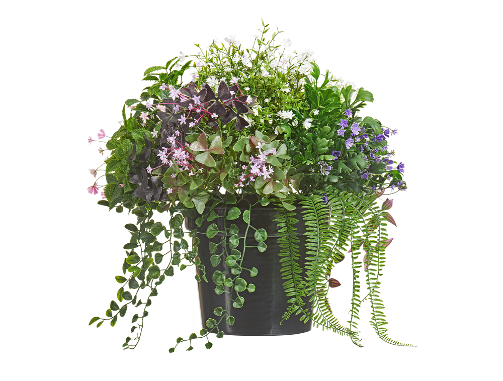 Разнотравие микс , высота с кашпо 50 см