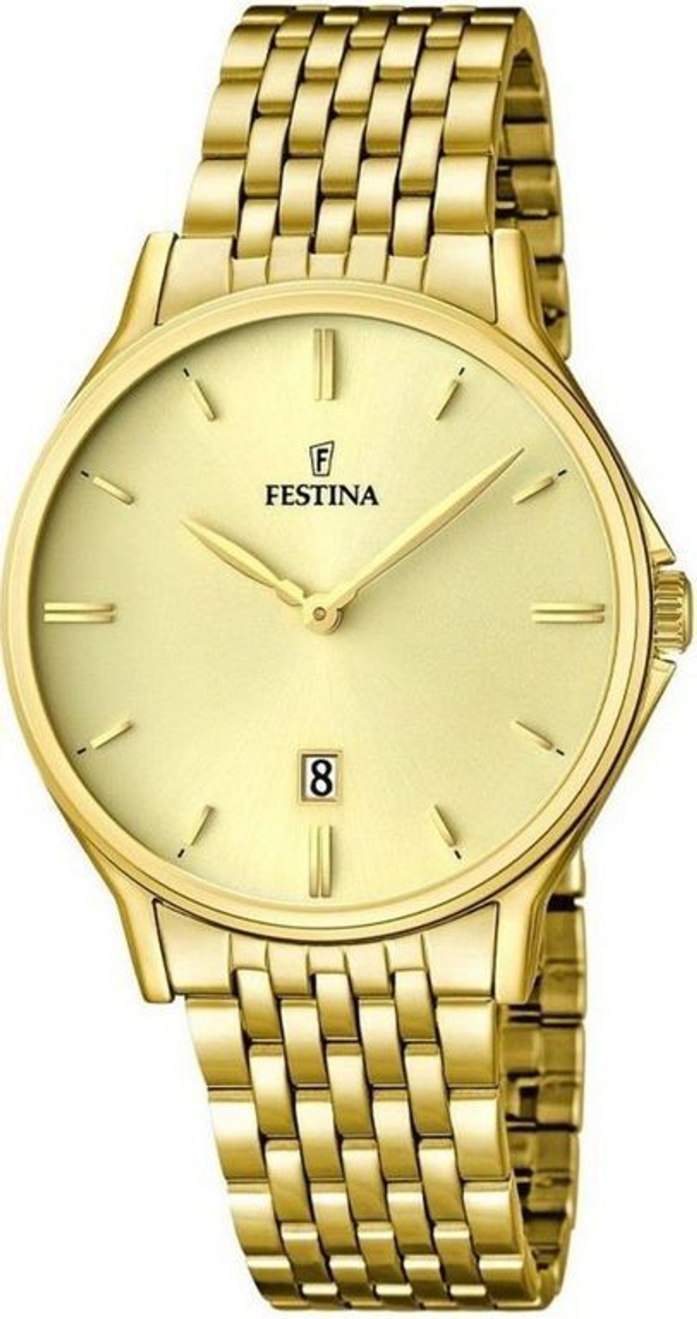 Мужские наручные часы Festina F16746/2