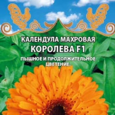 Календула Махровая Королева F1